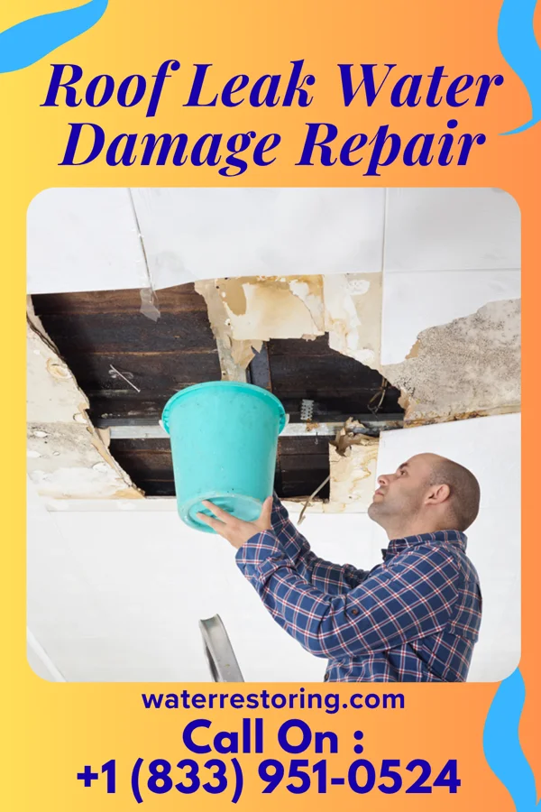 Roof Leak Water Damage Repair in De Leon, TX